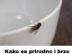 Kako se prirodno i brzo riješiti muha u vašem domu