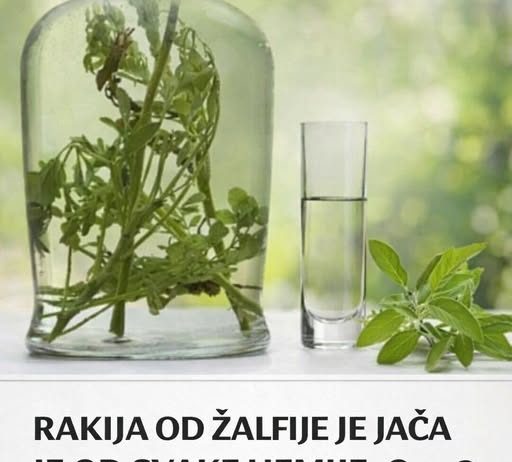 RAKIJA OD ŽALFIJE JE JAČA JE OD SVAKE HEMIJE: Ova 3 recepta obavezno sačuvajte za zdravlje vas i vaše porodice
