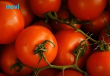 Obavezno izbacite paradajz iz ishrane ako patite od ovih bolesti