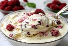 DOMAĆI SLADOLED OD SAMO 3 SASTOJKA – bez želatina!