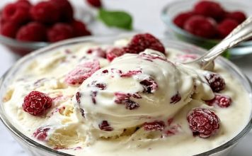 DOMAĆI SLADOLED OD SAMO 3 SASTOJKA – bez želatina!