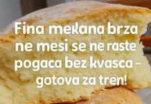 Fina mekana brza, ne mesi se ne raste, POGAČA bez kvasca – GOTOVA ZA TREN!