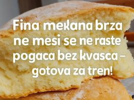 Fina mekana brza, ne mesi se ne raste, POGAČA bez kvasca – GOTOVA ZA TREN!