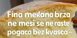Fina mekana brza, ne mesi se ne raste, POGAČA bez kvasca – GOTOVA ZA TREN!