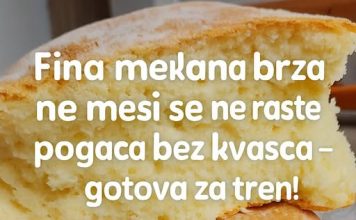 Fina mekana brza, ne mesi se ne raste, POGAČA bez kvasca – GOTOVA ZA TREN!