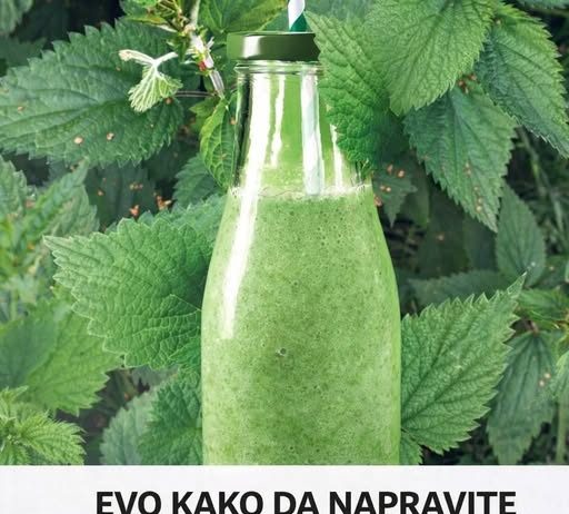 EVO KAKO DA NAPRAVITE ČUDOTVORNI NAPITAK OD KOPRIVE: Popravite krvnu sliku, izliječite pluća, jetru, žuč, nesanicu… (RECEPT)