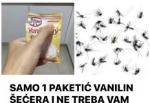 SAMO 1 PAKETIĆ VANILIN ŠEĆERA I NE TREBA VAM REPELENT: Savršen trik za omražene komarce, djeluje bolje od kemije!