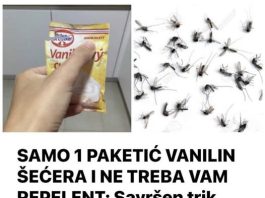 SAMO 1 PAKETIĆ VANILIN ŠEĆERA I NE TREBA VAM REPELENT: Savršen trik za omražene komarce, djeluje bolje od kemije!