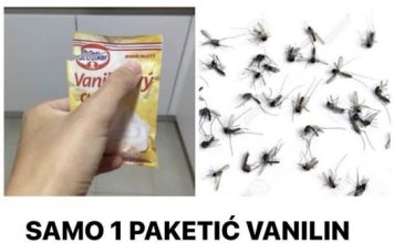 SAMO 1 PAKETIĆ VANILIN ŠEĆERA I NE TREBA VAM REPELENT: Savršen trik za omražene komarce, djeluje bolje od kemije!