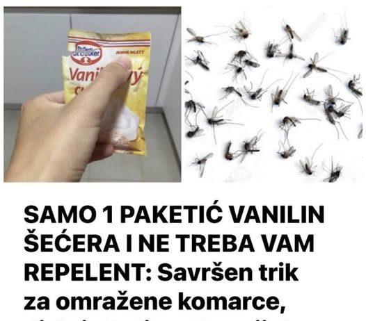 SAMO 1 PAKETIĆ VANILIN ŠEĆERA I NE TREBA VAM REPELENT: Savršen trik za omražene komarce, djeluje bolje od kemije!