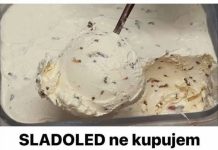 SLADOLED ne kupujem cijelo ljeto: Pravim ga od pavlake i šlaga za samo 3 minute!