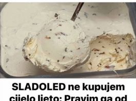 SLADOLED ne kupujem cijelo ljeto: Pravim ga od pavlake i šlaga za samo 3 minute!