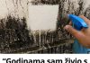 “Godinama sam živio s plijesni na zidovima… a onda sam otkrio trik koji je uklanja bez ribanja!”