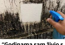 “Godinama sam živio s plijesni na zidovima… a onda sam otkrio trik koji je uklanja bez ribanja!”