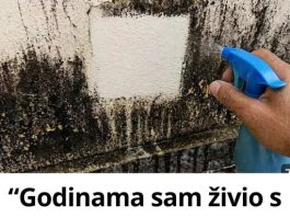 “Godinama sam živio s plijesni na zidovima… a onda sam otkrio trik koji je uklanja bez ribanja!”