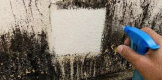 “Godinama sam živio s plijesni na zidovima… a onda sam otkrio trik koji je uklanja bez ribanja!”