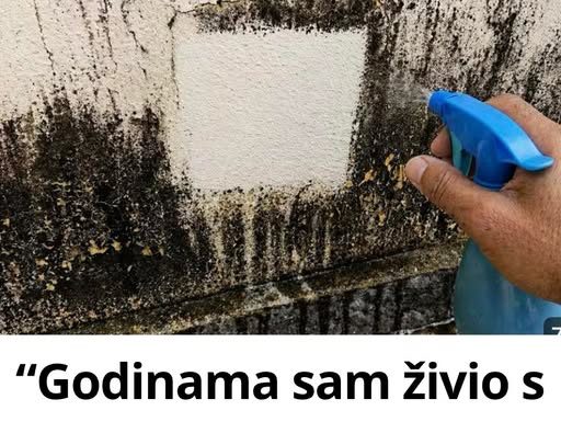 “Godinama sam živio s plijesni na zidovima… a onda sam otkrio trik koji je uklanja bez ribanja!”