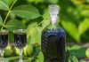 ORAHOVAČA JE NAJZDRAVIJE ALKOHOLNO PIĆE