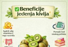 PREDNOSTI JEDENJA KIVIJA ZA DOBRO ZDRAVLJE