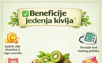 PREDNOSTI JEDENJA KIVIJA ZA DOBRO ZDRAVLJE