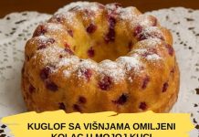 KUGLOF SA VIŠNJAMA.. OMILJENI KOLAČ U MOJOJ KUĆI