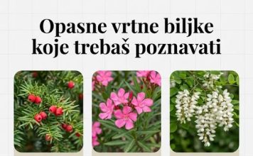OPASNE VRTNE BILJKE KOJE TREBAŠ POZNAVATI