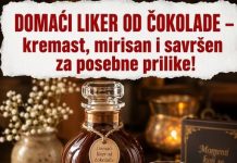 DOMAĆI LIKER OD ČOKOLADE – kremast, mirisan i savršen za posebne prilike!