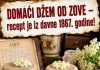 DOMAĆI DŽEM OD ZOVE – recept je iz davne 1867. godine!