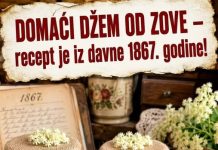 DOMAĆI DŽEM OD ZOVE – recept je iz davne 1867. godine!