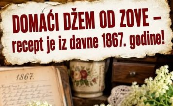DOMAĆI DŽEM OD ZOVE – recept je iz davne 1867. godine!