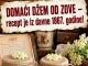 DOMAĆI DŽEM OD ZOVE – recept je iz davne 1867. godine!