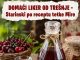 DOMAĆI LIKER OD TREŠNJE – Starinski po receptu tetke Mire…