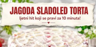 JAGODA SLADOLED TORTA ljetni hit koji se pravi za 10 minuta!