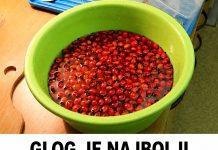 GLOG JE NAJBOLJI SAVEZNIK VAŠEG SRCA: OVA 2 NAPITKA SPREČAVAJU I POBEĐUJU ARITMIJU! (RECEPT)