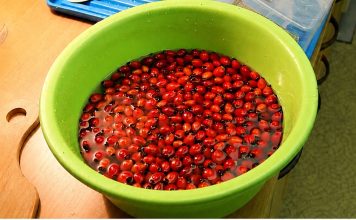 GLOG JE NAJBOLJI SAVEZNIK VAŠEG SRCA: OVA 2 NAPITKA SPREČAVAJU I POBEĐUJU ARITMIJU! (RECEPT)