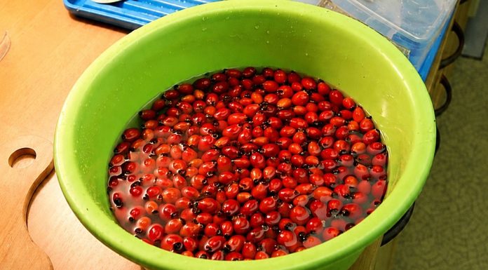 GLOG JE NAJBOLJI SAVEZNIK VAŠEG SRCA: OVA 2 NAPITKA SPREČAVAJU I POBEĐUJU ARITMIJU! (RECEPT)