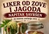 Liker od zove i jagoda – napitak savršen za sezonu cvetanja zove