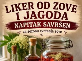 Liker od zove i jagoda – napitak savršen za sezonu cvetanja zove