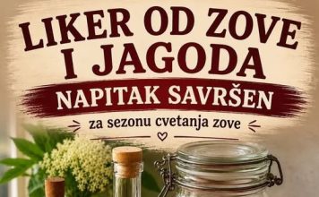 Liker od zove i jagoda – napitak savršen za sezonu cvetanja zove