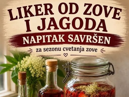 Liker od zove i jagoda – napitak savršen za sezonu cvetanja zove