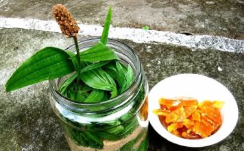 SIRUP OD BOKVICE: Najbolji lijek za sve plućne bolesti (RECEPT)!