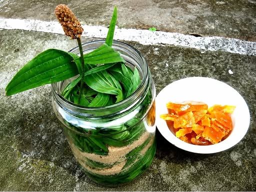 SIRUP OD BOKVICE: Najbolji lijek za sve plućne bolesti (RECEPT)!