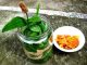 SIRUP OD BOKVICE: Najbolji lijek za sve plućne bolesti (RECEPT)!