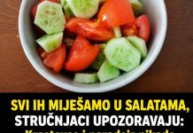 SVI IH MIJEŠAMO U SALATAMA, STRUČNJACI UPOZORAVAJU: Krastavce i paradajz nikada ne biste smjeli jesti ZAJEDNO u ISTOJ salati, EVO ZAŠTO!