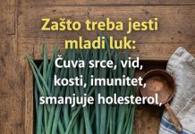 ZAŠTO TREBA JESTI MLADI LUK