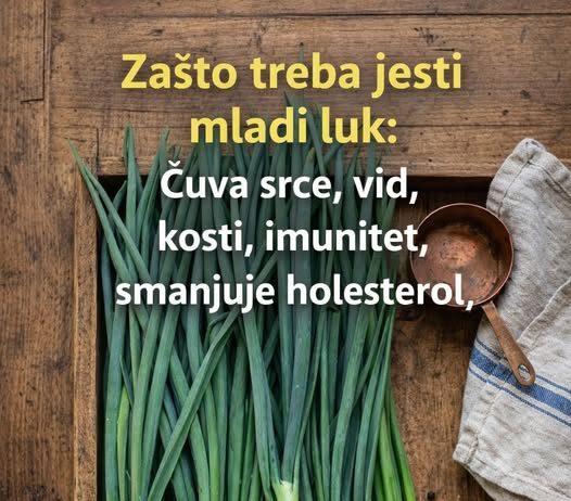 ZAŠTO TREBA JESTI MLADI LUK
