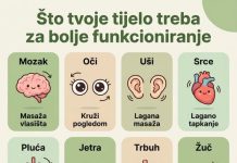 ŠTO TVOJE TIJELO TREBA ZA BOLJE FUNKCIONIRANJE