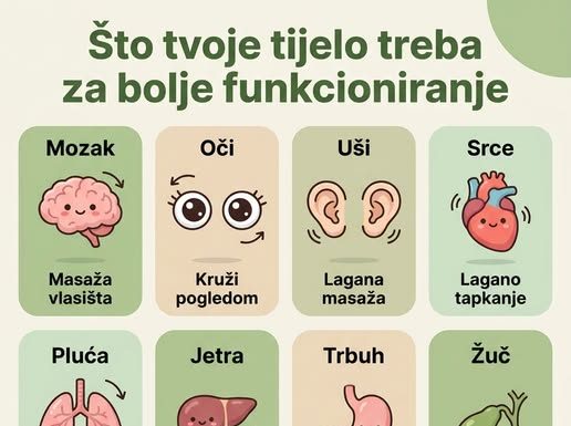 ŠTO TVOJE TIJELO TREBA ZA BOLJE FUNKCIONIRANJE