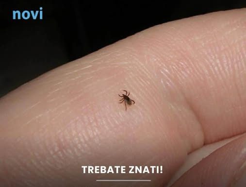 Mnogi ne znaju da je imaju: Funkcija na mobitelu koja pomaže detektirati krpelja!