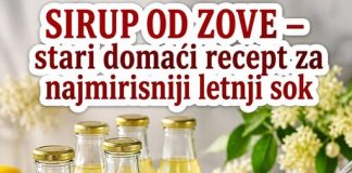 SIRUP OD ZOVE – stari domaći recept za najmirisniji letnji sok